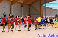Hand_Celles_Lyon_30 [800x600]
